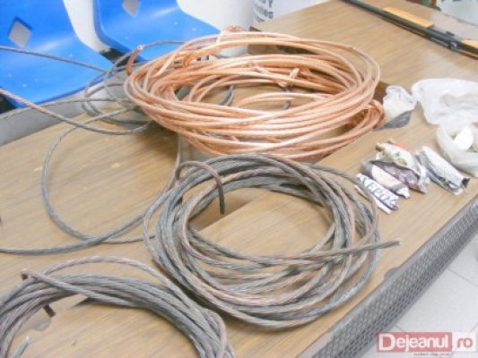 A furat cablul unei reţele de telefonie fixă, din staţiunea Mamaia